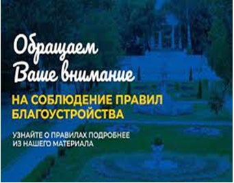 Объявление. Объявление.